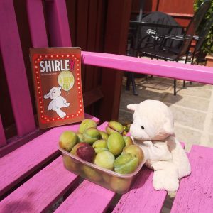 Shirley sheep adventures and Shirley tries a new diet book