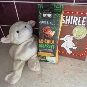 Shirley sheep adventures and Shirley tries a new diet book